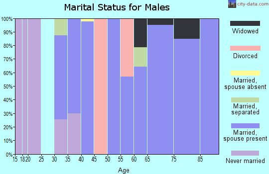 Zip code 24176 marital status for males