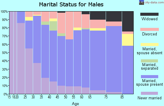 Zip code 24179 marital status for males