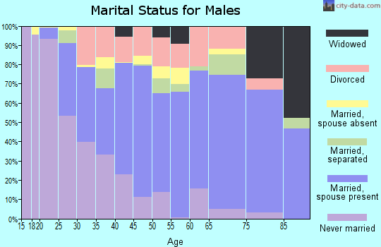 Zip code 24201 marital status for males