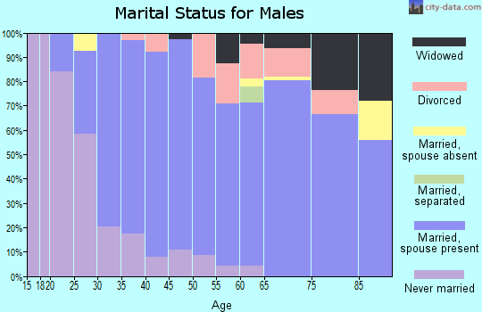 Zip code 24202 marital status for males