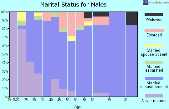 Zip code 24211 marital status for males