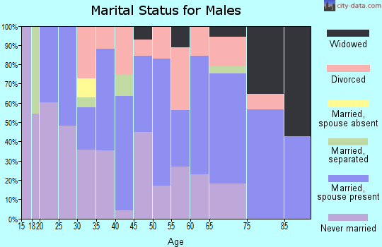 Zip code 24216 marital status for males