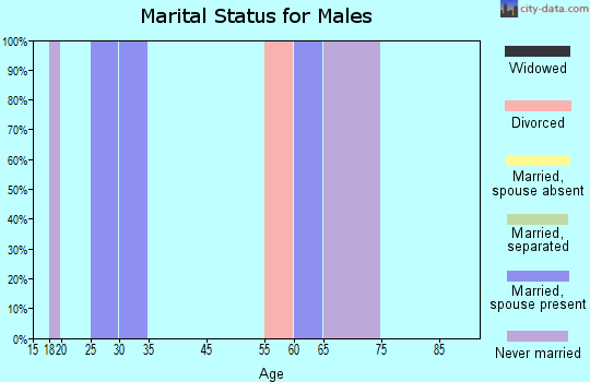Zip code 24218 marital status for males