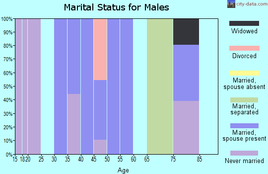 Zip code 24220 marital status for males