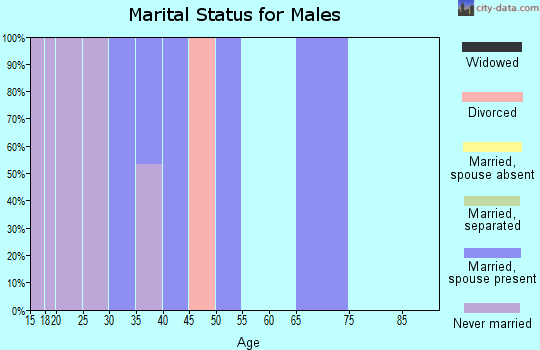Zip code 24221 marital status for males