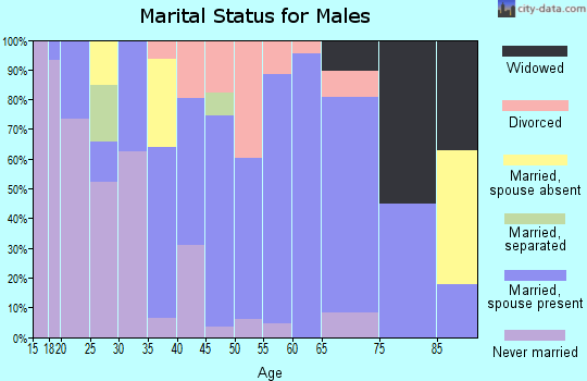 Zip code 24224 marital status for males