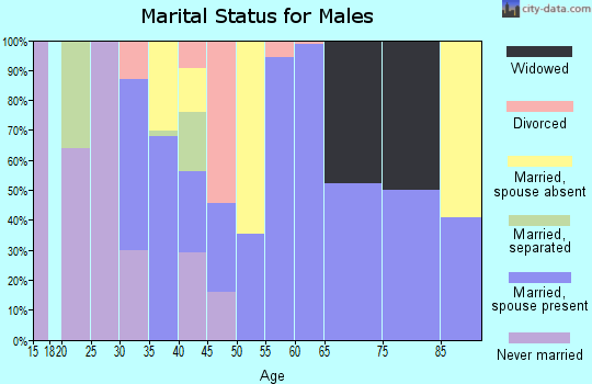 Zip code 24225 marital status for males
