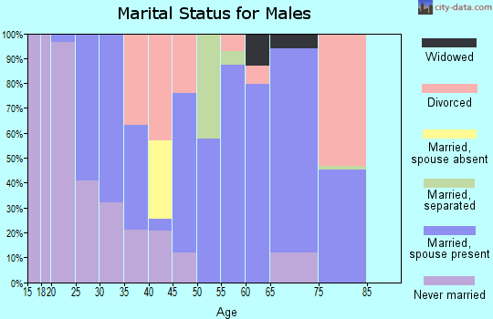 Zip code 24226 marital status for males