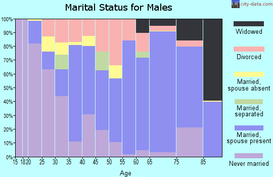 Zip code 24230 marital status for males