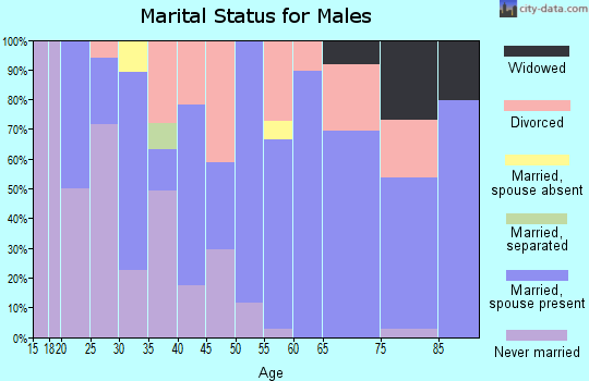 Zip code 24236 marital status for males