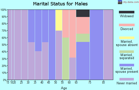 Zip code 24237 marital status for males