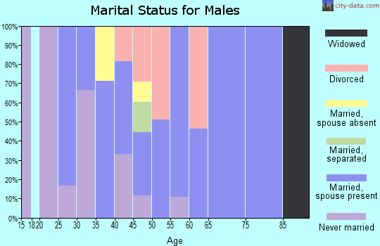Zip code 24243 marital status for males