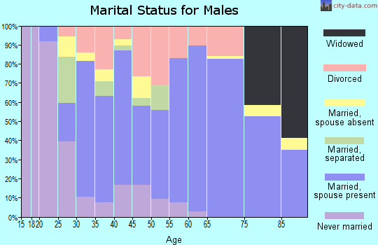 Zip code 24244 marital status for males