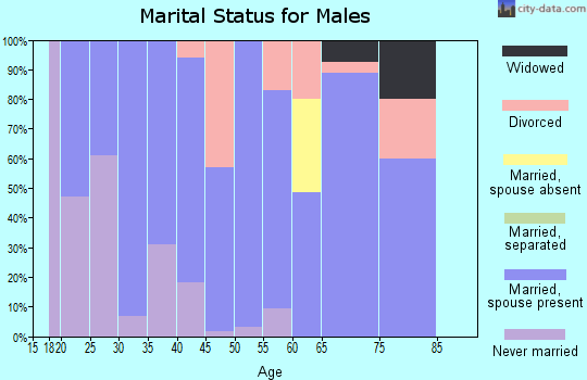 Zip code 24245 marital status for males