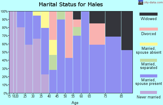 Zip code 24248 marital status for males