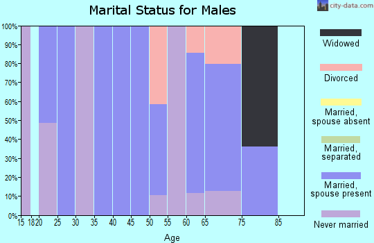 Zip code 24250 marital status for males