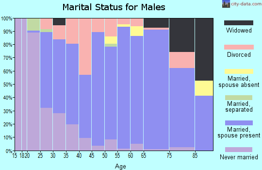 Zip code 24251 marital status for males