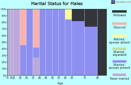 Zip code 24258 marital status for males