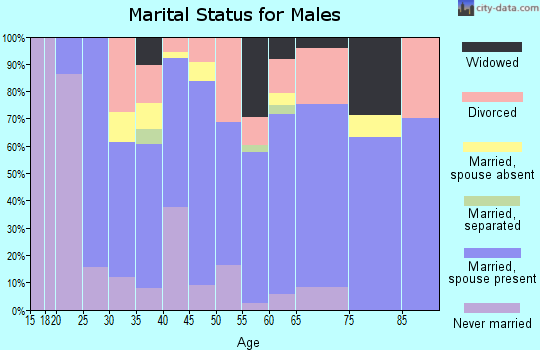 Zip code 24260 marital status for males