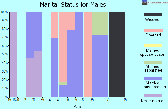 Zip code 24265 marital status for males
