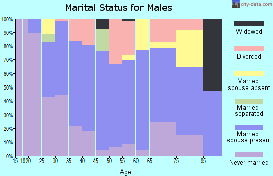 Zip code 24266 marital status for males