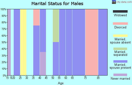 Zip code 24270 marital status for males