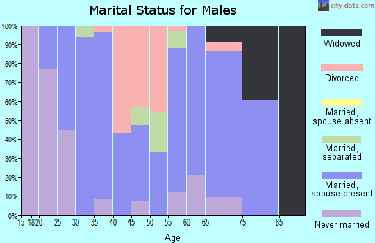 Zip code 24271 marital status for males