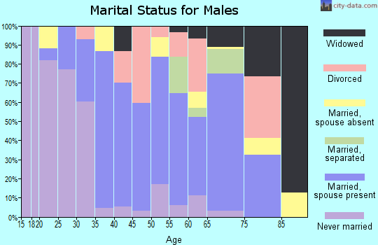 Zip code 24273 marital status for males