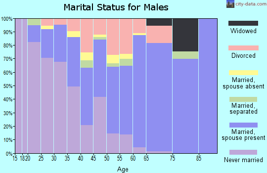 Zip code 24279 marital status for males
