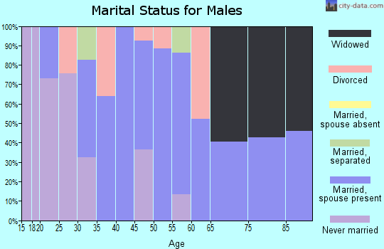 Zip code 24281 marital status for males