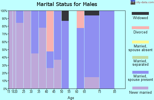 Zip code 24282 marital status for males