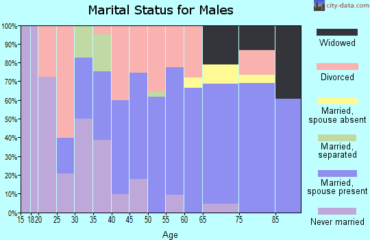 Zip code 24290 marital status for males