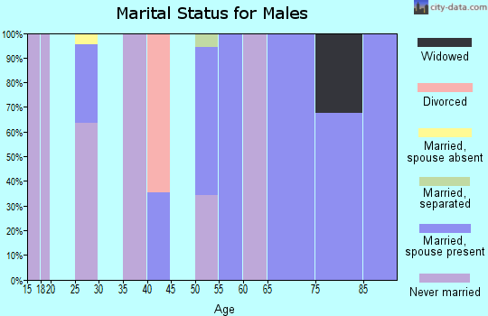 Zip code 24292 marital status for males