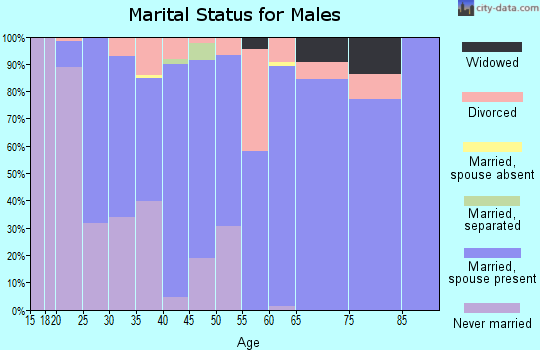 Zip code 24293 marital status for males