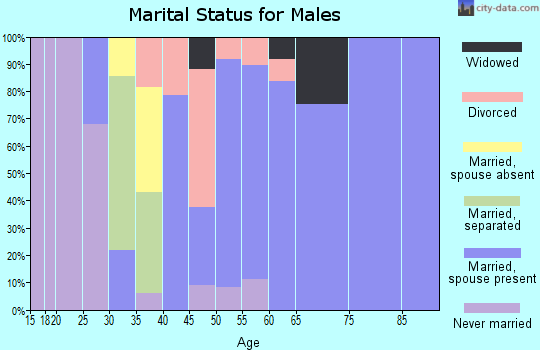 Zip code 24311 marital status for males