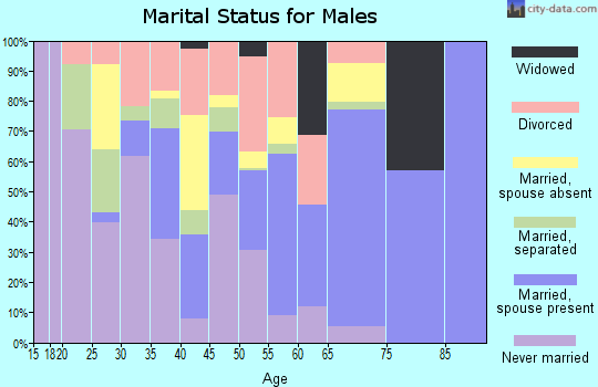 Zip code 24315 marital status for males