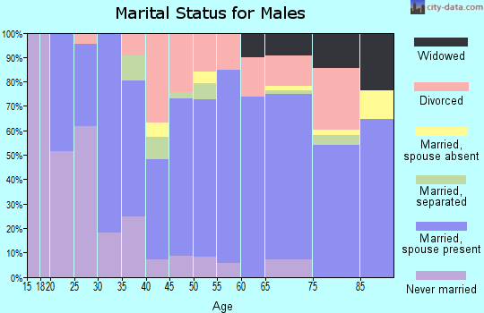 Zip code 24319 marital status for males