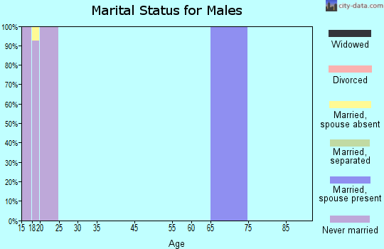 Zip code 24327 marital status for males