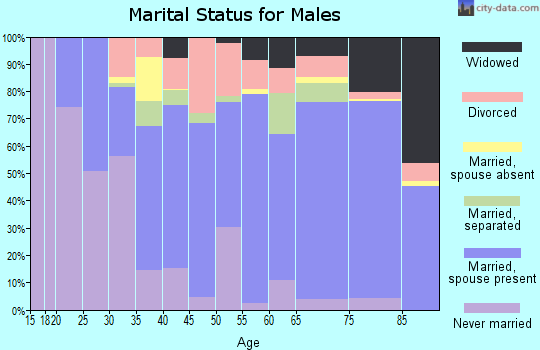 Zip code 24333 marital status for males