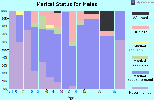 Zip code 24340 marital status for males