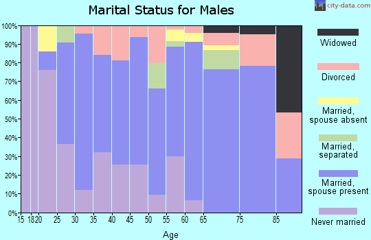 Zip code 24343 marital status for males