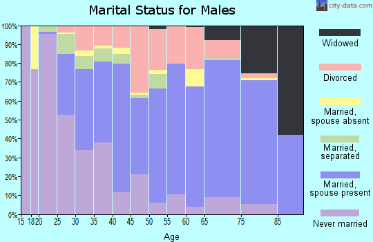 Zip code 24354 marital status for males