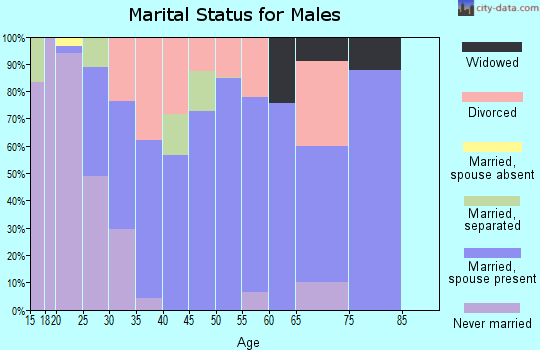 Zip code 24360 marital status for males