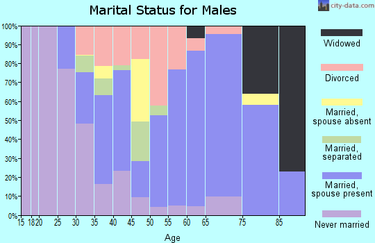 Zip code 24361 marital status for males