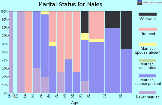 Zip code 24363 marital status for males