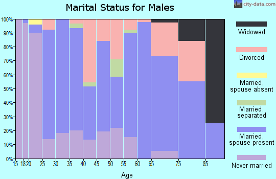 Zip code 24368 marital status for males