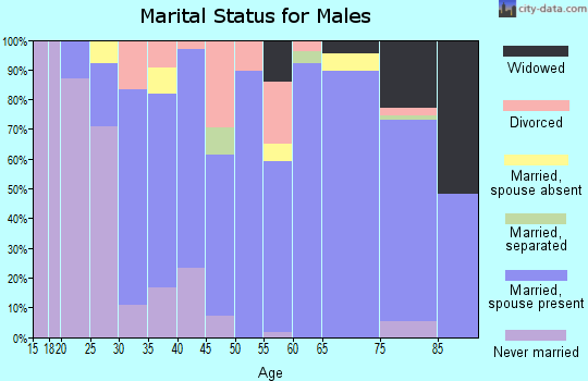 Zip code 24370 marital status for males