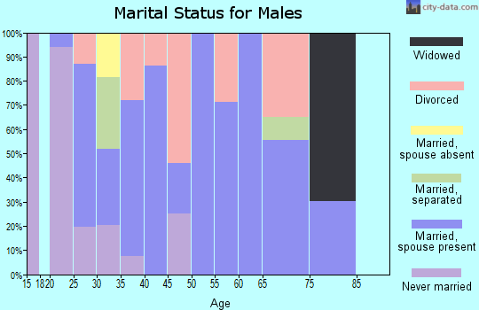 Zip code 24375 marital status for males