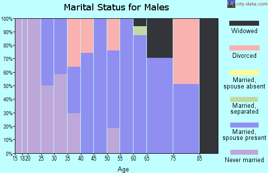 Zip code 24380 marital status for males