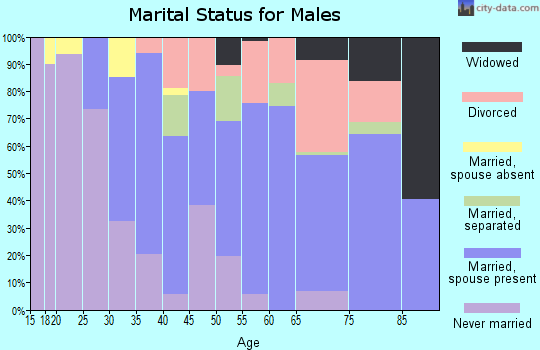 Zip code 24416 marital status for males